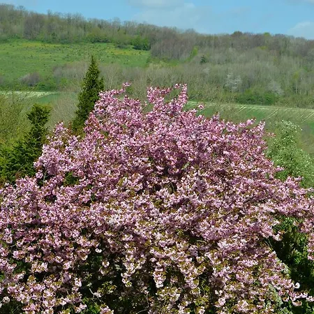 Le Manoir De Les Ardres Bed & Breakfast 3*